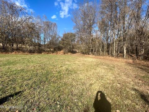 Nesbit, Nesbit, MS 38651 photo 6