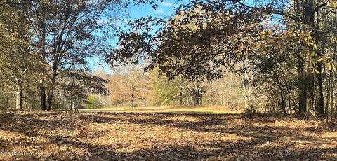 Nesbit, Nesbit, MS 38651 photo 2
