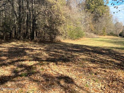 Nesbit, Nesbit, MS 38651 photo 3