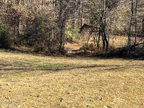 Nesbit, Nesbit, MS 38651 photo 4