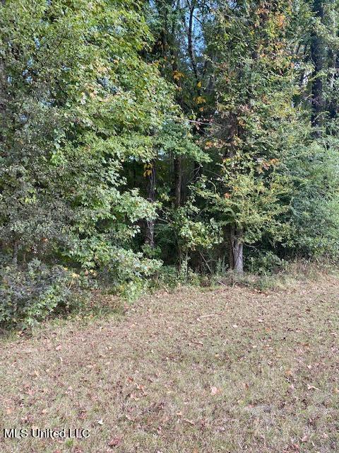 000 Hwy 463 W, Madison, MS 39110 photo 1