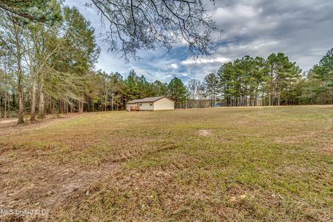 283 Mcnair Springs Rd, Magee, MS 39111 photo 6