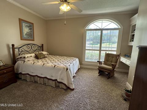 133 Parkside Dr, Brandon, MS 39042 photo 28