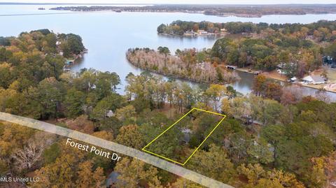 500 Forest Point Dr, Brandon, MS 39047 photo 48