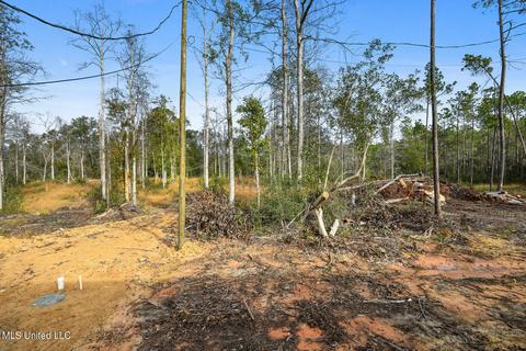 20485 White Rd, Vancleave, MS 39565 photo 18