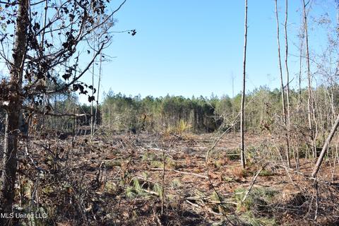 Corbit Boulevard, Mclain, MS 39456 photo 2