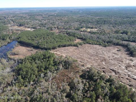 Corbit Boulevard, Mclain, MS 39456 photo 7