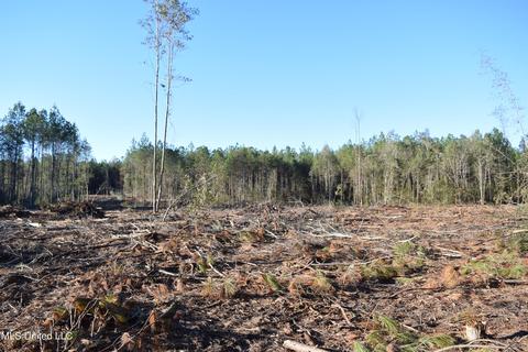 Corbit Boulevard, Mclain, MS 39456
