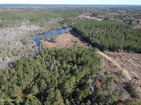 Corbit Boulevard, Mclain, MS 39456 photo 15