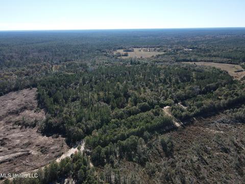 Corbit Boulevard, Mclain, MS 39456 photo 8