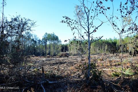 Corbit Boulevard, Mclain, MS 39456 photo 3