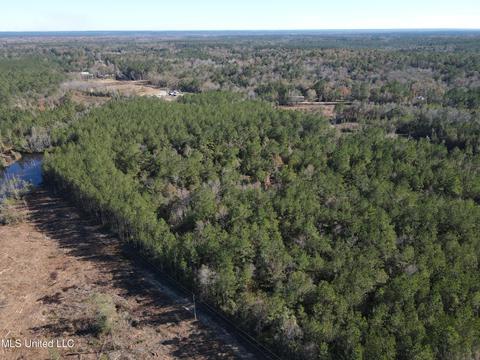Corbit Boulevard, Mclain, MS 39456 photo 16