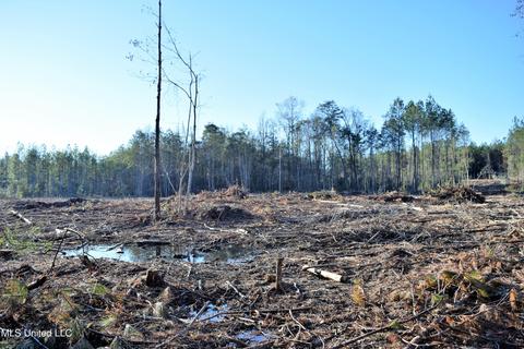 Corbit Boulevard, Mclain, MS 39456 photo 4