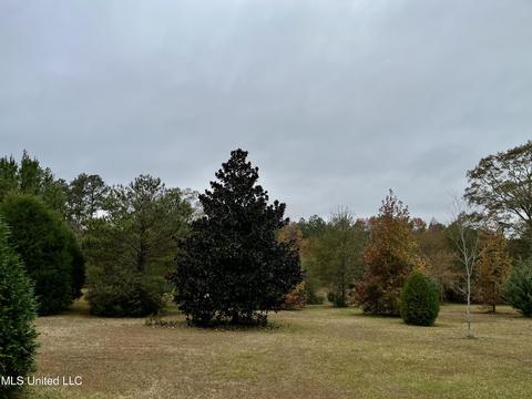 15 Rawls Rd, Perkinston, MS 39573 photo 33