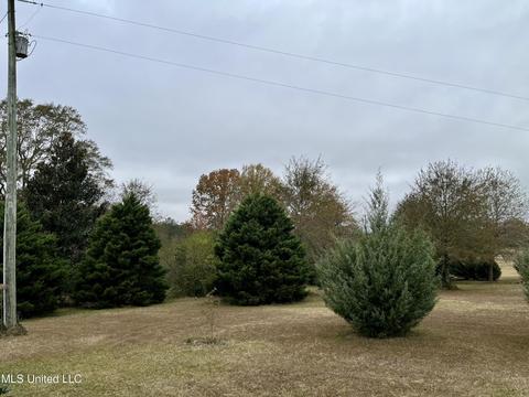 15 Rawls Rd, Perkinston, MS 39573 photo 30