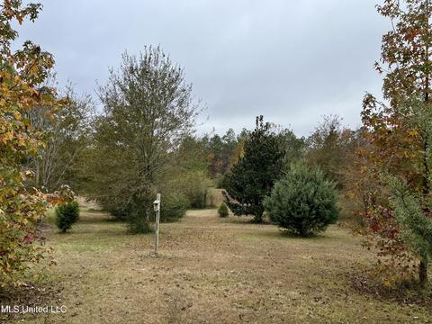 15 Rawls Rd, Perkinston, MS 39573 photo 32