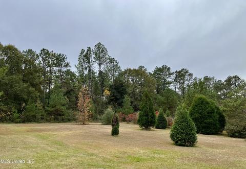 15 Rawls Rd, Perkinston, MS 39573 photo 35