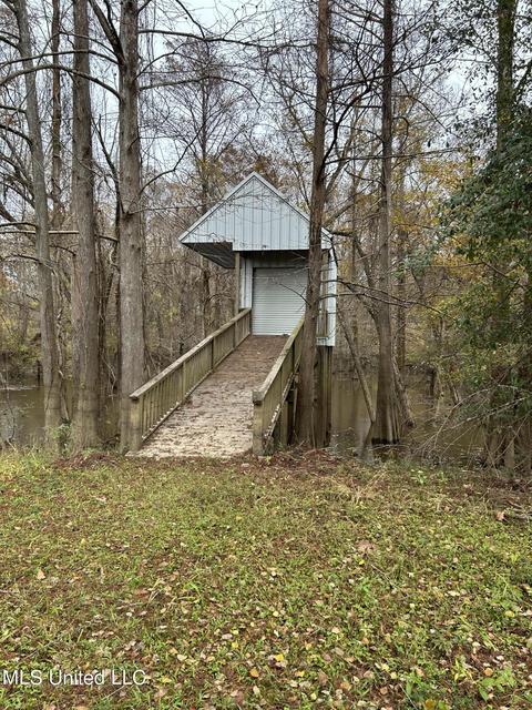 223 Plum Bluff Dr, Lucedale, MS 39452 photo 4