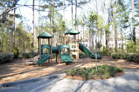 145 Republic St #903, Madison, MS 39110 photo 62