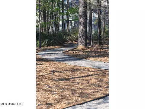 145 Republic St #903, Madison, MS 39110 photo 63