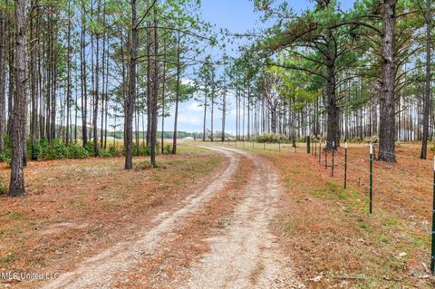 483 Dampeer Rd, Canton, MS 39046 photo 33