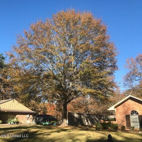 77 Glenway Pl, Brandon, MS 39042 photo 29