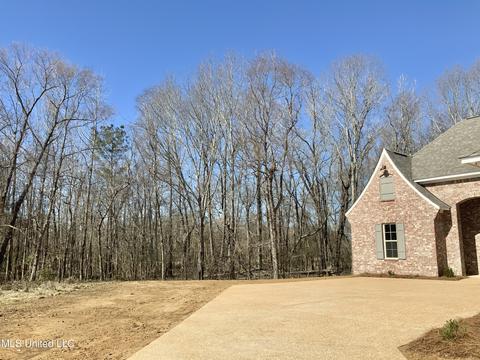 715 Highleadon Pl, Madison, MS 39110 photo 3
