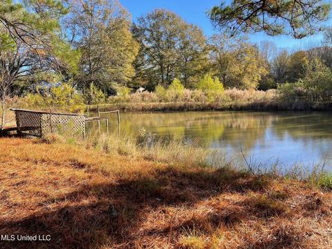 4695 Hwy 22, Flora, MS 39071 photo 12
