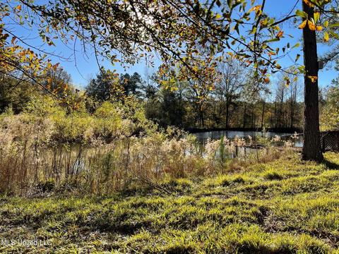 4695 Hwy 22, Flora, MS 39071 photo 10