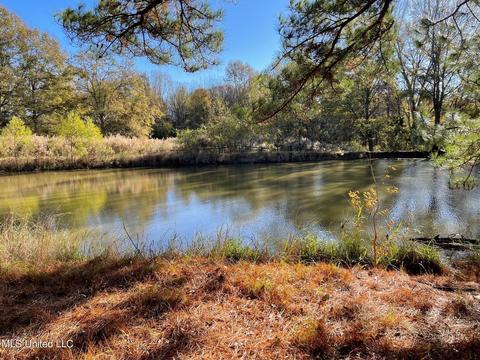 4695 Hwy 22, Flora, MS 39071 photo 13