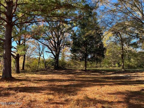 4695 Hwy 22, Flora, MS 39071 photo 14