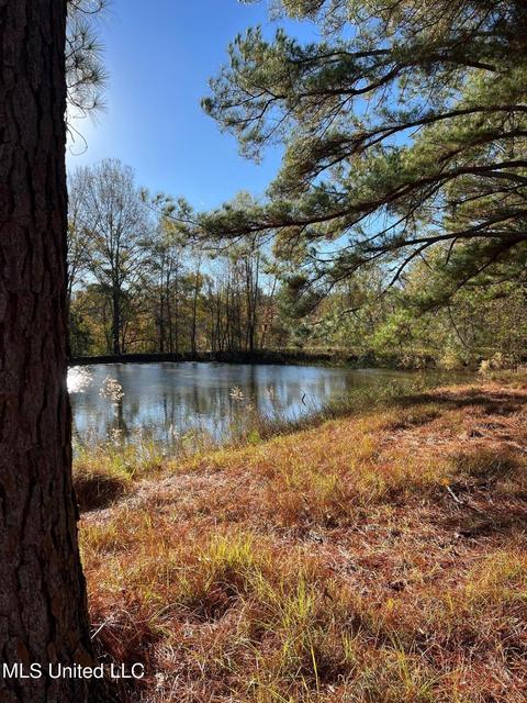 4695 Hwy 22, Flora, MS 39071