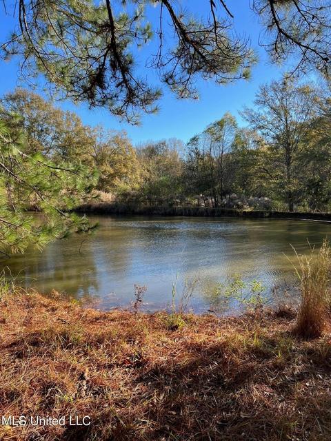 4695 Hwy 22, Flora, MS 39071 photo 5
