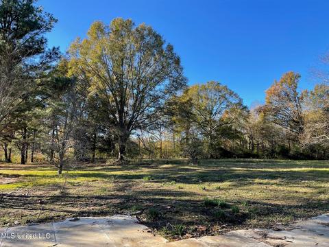 4695 Hwy 22, Flora, MS 39071 photo 7