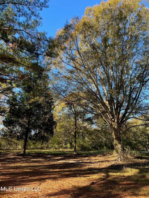 4695 Hwy 22, Flora, MS 39071 photo 15