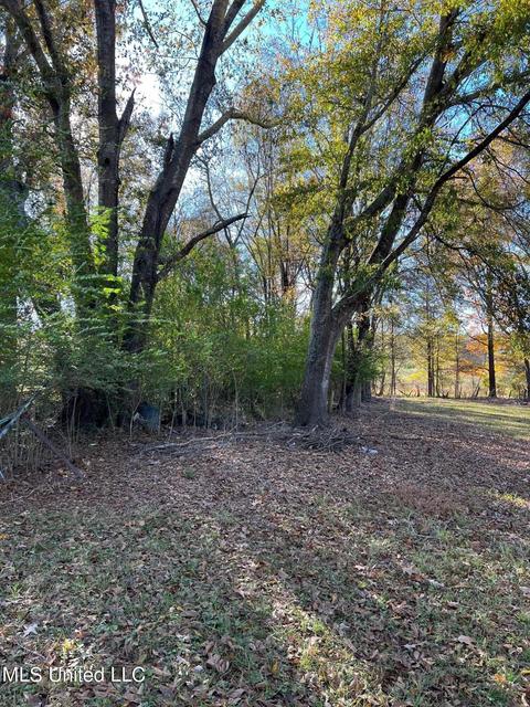 4701 Hwy 22, Flora, MS 39071 photo 6