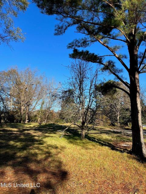 4701 Hwy 22, Flora, MS 39071 photo 3