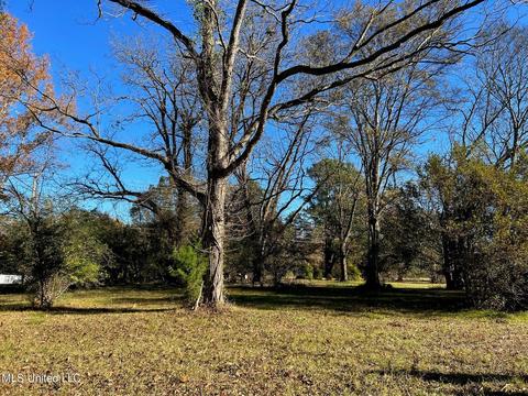 4701 Hwy 22, Flora, MS 39071 photo 7