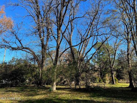 4701 Hwy 22, Flora, MS 39071 photo 5
