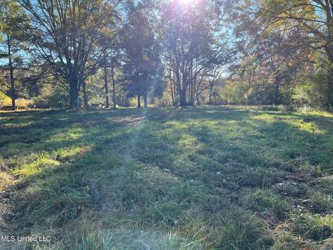 4701 Hwy 22, Flora, MS 39071 photo 2