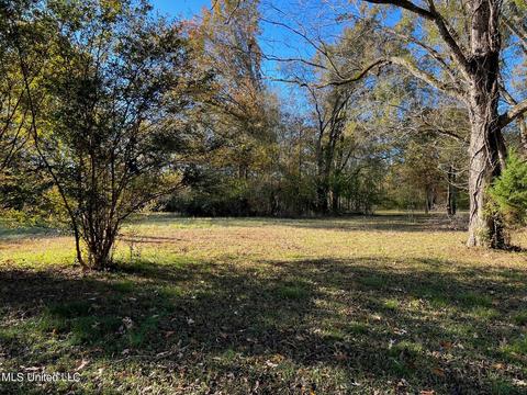 4701 Hwy 22, Flora, MS 39071 photo 4