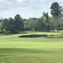 259 Azalea Ct, Brandon, MS 39047 photo 46