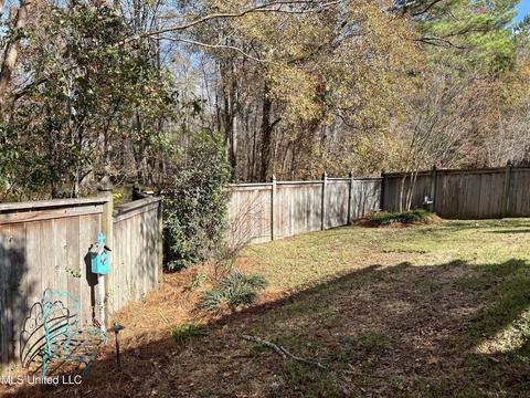 259 Azalea Ct, Brandon, MS 39047 photo 34