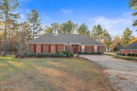 111 Doc Henry Cv, Terry, MS 39170 photo 2