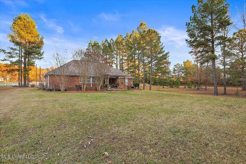 111 Doc Henry Cv, Terry, MS 39170 photo 29