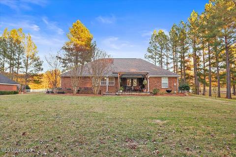 111 Doc Henry Cv, Terry, MS 39170 photo 27