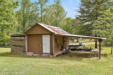 222 Doc Henry Cv, Terry, MS 39170 photo 40