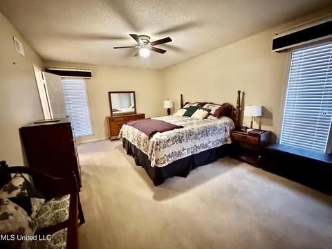 2730 Cedar Bluff Dr, Nesbit, MS 38651 photo 13
