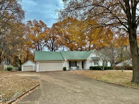 2730 Cedar Bluff Dr, Nesbit, MS 38651 photo 1
