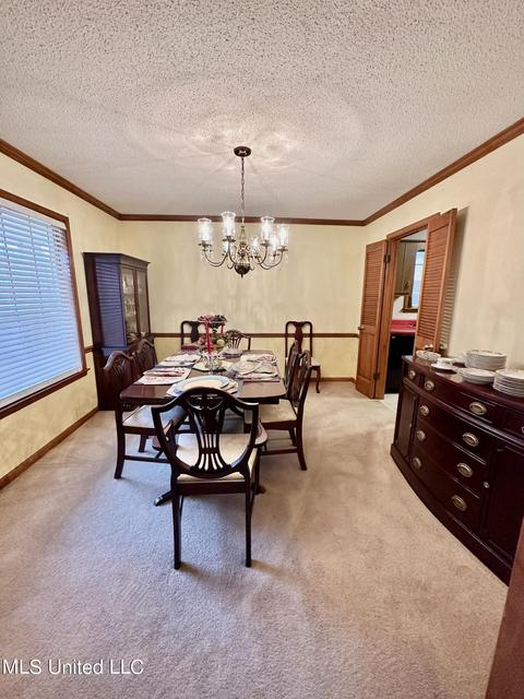2730 Cedar Bluff Dr, Nesbit, MS 38651 photo 2